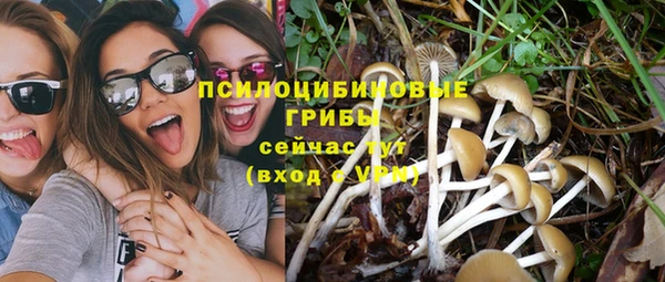 соль ск Нефтегорск