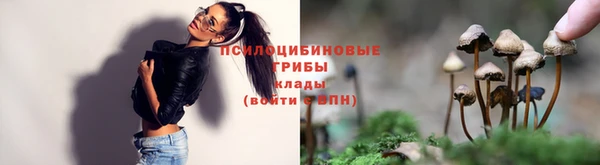 spice Нея