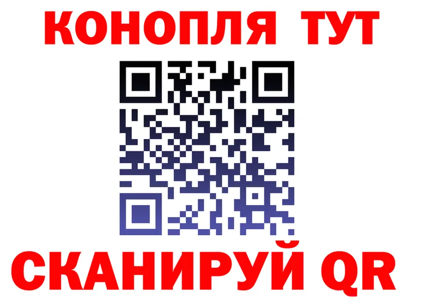 АМФ Premium маркетплейс мориарти OMG Елизаветинская