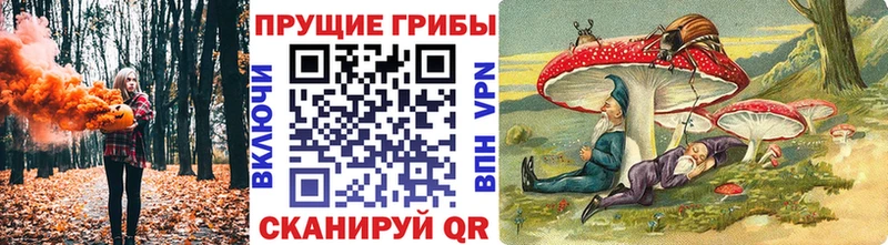 Псилоцибиновые грибы Psilocybe  купить наркотики цена  площадка формула  Елизаветинская 